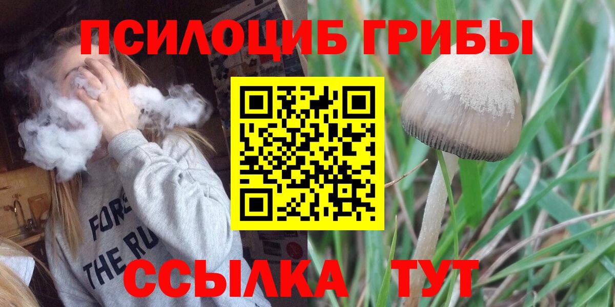 Псилоцибиновые грибы прущие грибы Кирово-Чепецк