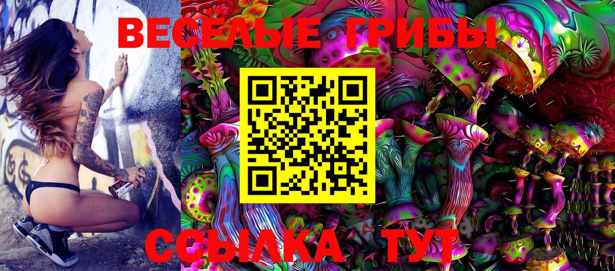 Кирово-Чепецк  Галлюциногенные грибы MAGIC MUSHROOMS  Вход с VPN 